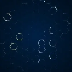 C-01 X