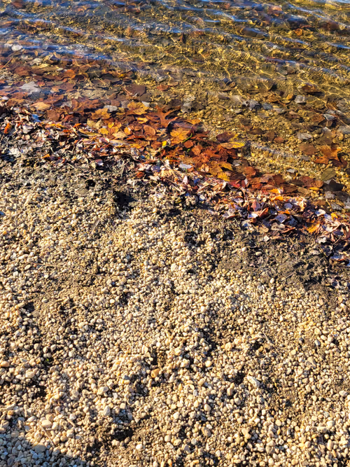 Item #61051240571971779841838649405693456424568018504308900476674196450860119097345 Media