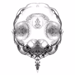 85859191866638808365331437874953228966785819470149775310971062207084715048961