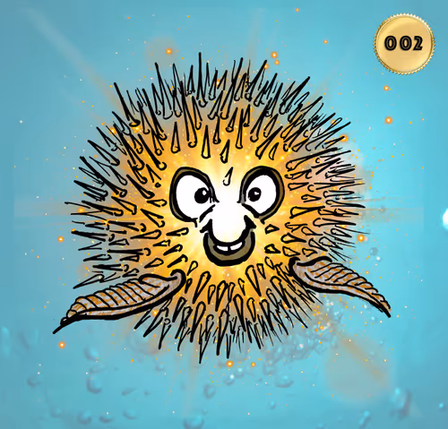 Item #39757497346721364108474336109240685337569356530407317932142356488010541826049 Media