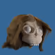111272222494836883133492508357302149388396245105383505463691400117699863379969