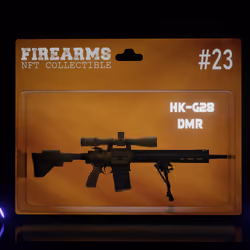HK-G28 DMR NFT #23