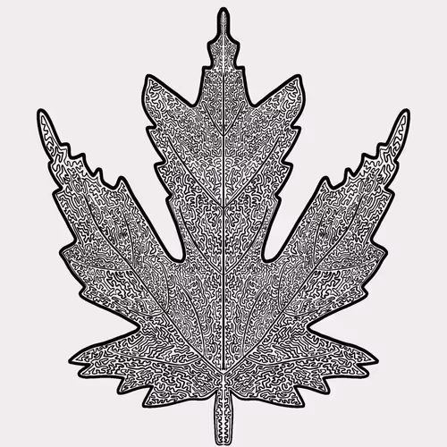 Item #45125160110305917715850497556546832860177607866783194831182744849211044397057 Media