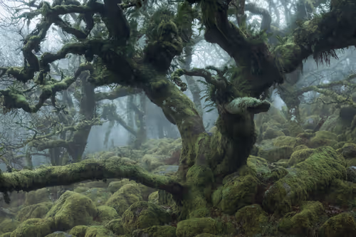 Item #72639390708267126639436568569652760193401123475841185469851730209274771537921 Media