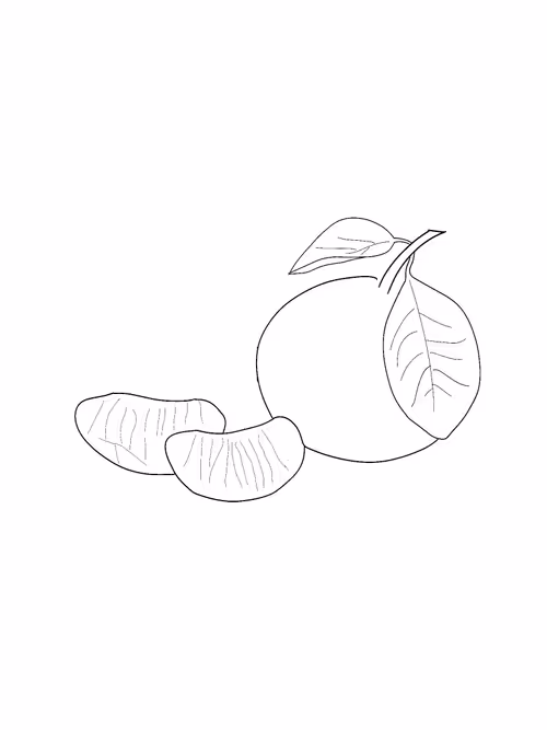 Item #88586504170275738881642373300592236200756239934994765531384634083157605351425 Media