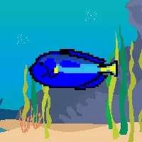 Etherfishing