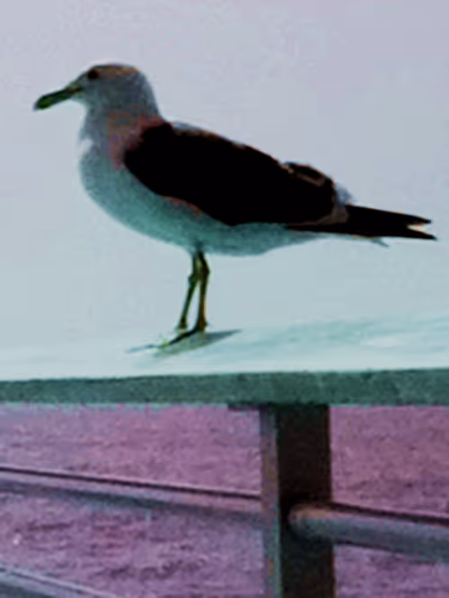 Item #20023781592906440860682440486722008907046268969151224076897509234852241604609 Media