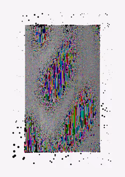 Item Media