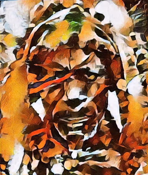 Item #93374518476866351541873496211635985567968094909278793409602589816222757421057 Media