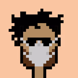 81523948018941944312571025236639500103331590234915330011277809787831599497217