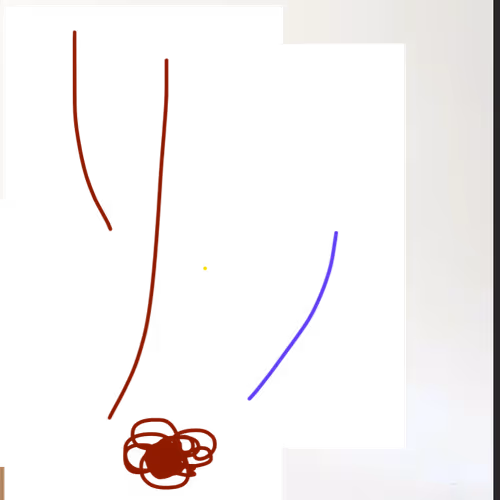 Untitled Collection #81812745