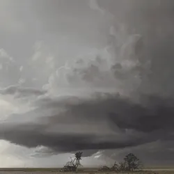 Storms in MOTION #12 - Prestigious