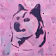 49503500707521632259345056472981649390533598744773324761367849569690832601089