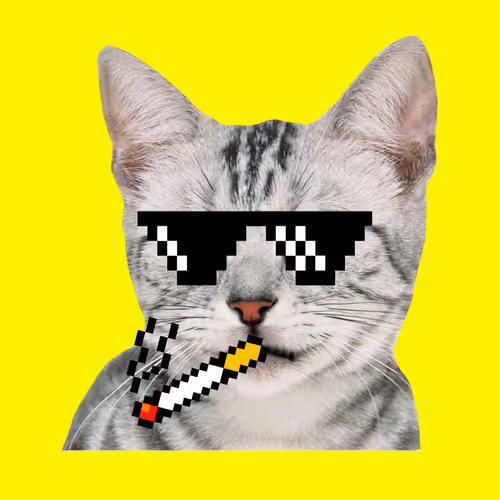 Cool Cat #1