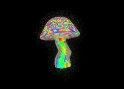Shroom City