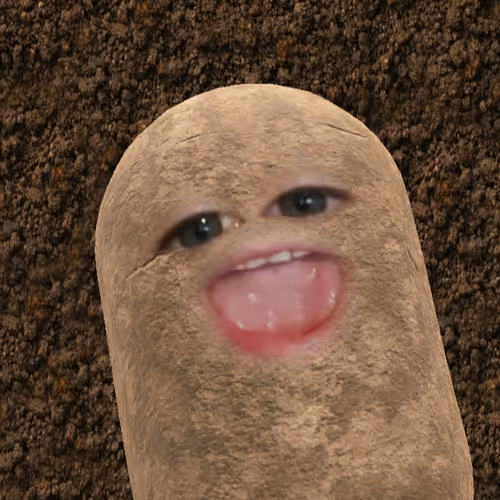 Untitled Collection #178275562