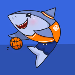  Basketball Shark
