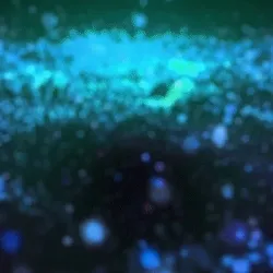 Flashed Witch [Rare #2}