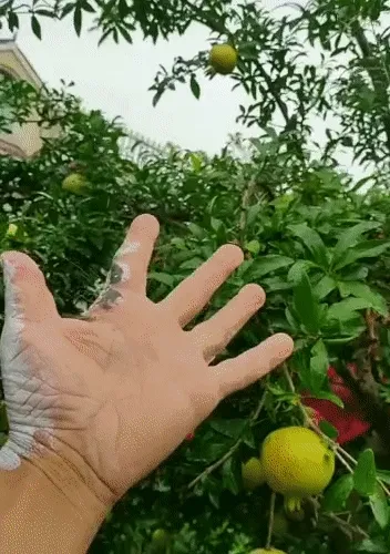 Hand Challenges