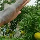 98297886293652092657371597788592247398680073041274723207675992110380051595364