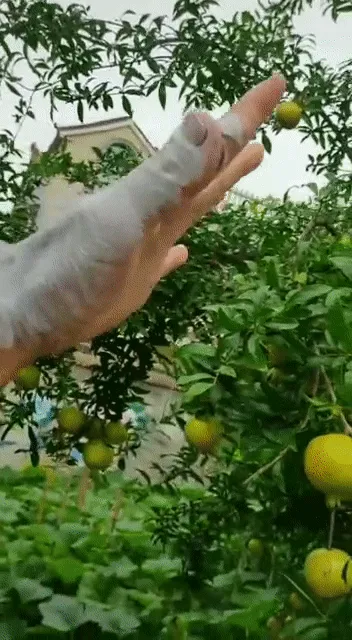 Item #98297886293652092657371597788592247398680073041274723207675992516099842244609 Media