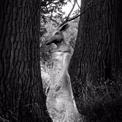 40160686583094733528677484039903516258611509642019211679321071603505235492865