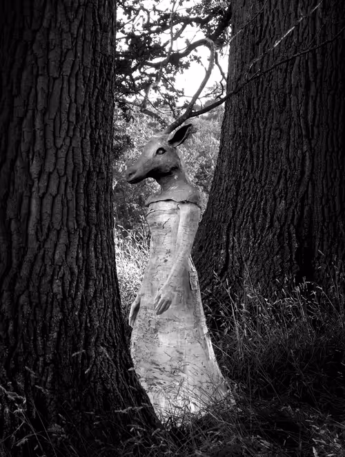 Item #40160686583094733528677484039903516258611509642019211679321071603505235492865 Media