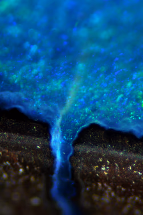 Item #21177589988234382907292029725280025606269119538694693414219510847599955410945 Media