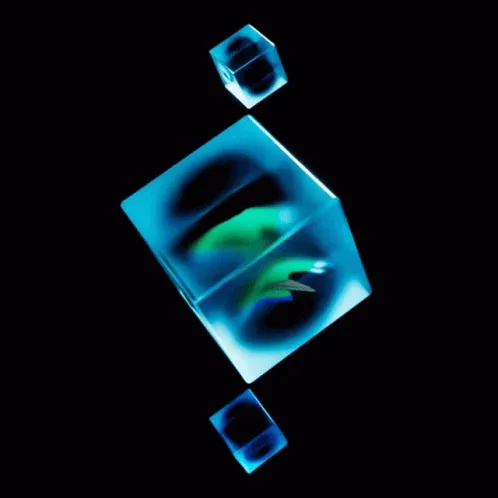 Untitled Collection #2472892506