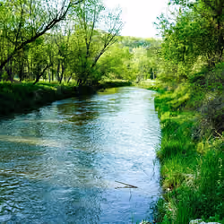 The River - Two