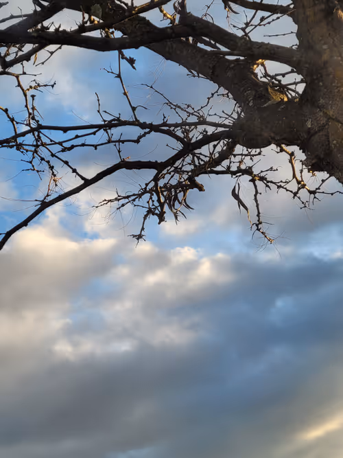 Item #61051240571971779841838649405693456424568018504308900476674196498139119091713 Media