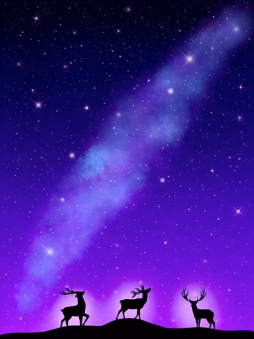 Item #37564815082780238346171676012058630478525713534669293421886852974064712024065 Media