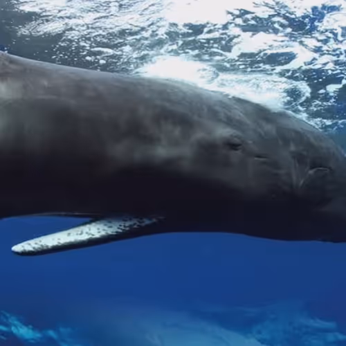 Untitled Collection #172002789