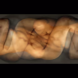 Snake from the Curves Addicted Body Fussion Series by Roman Gerardo 