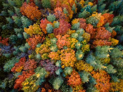 Item #95229034153510470396511515867568444678676379780033711068818665172403901956097 Media