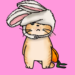 Everything about fat cats - Rabbit