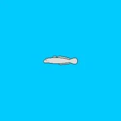 Under The Sea #00041