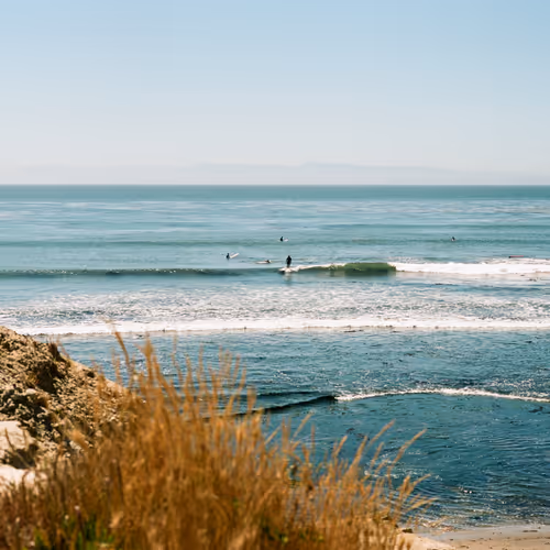 California Gold