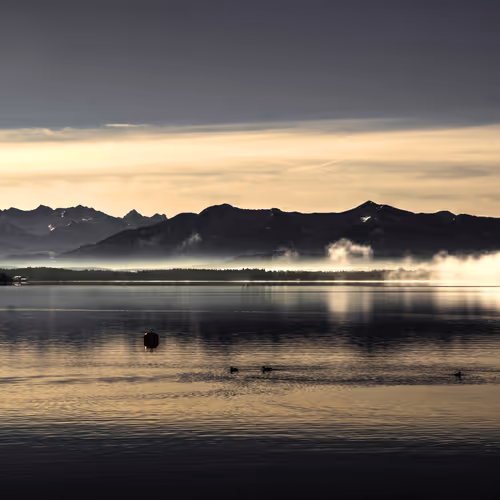 # Morning Fog