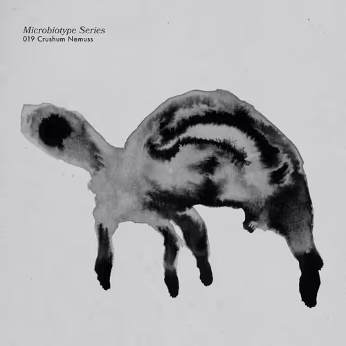 Item #20537471166803336483697920459392139182541277411208615206121837240496576004097 Media