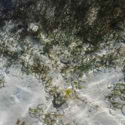 General Luna, Siargao Island, Surigao Del Norte, Philippines #9