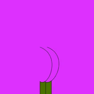 Item #79052877895217053322292563948058131252190680238974733503072408582198757687297 Media