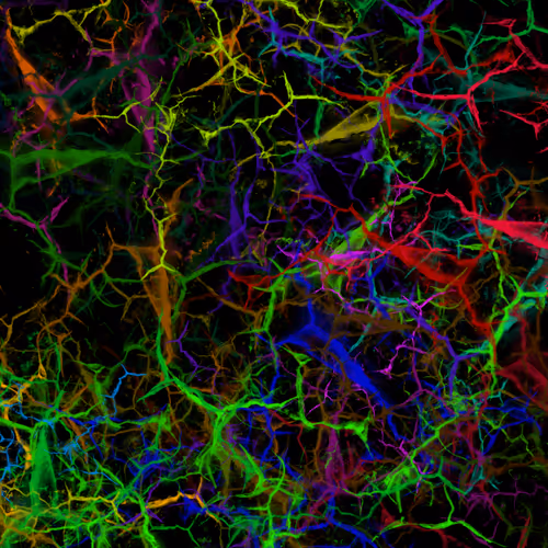 Item #50918555062582210159273167721725581522404743190091886750106034844310702129153 Media