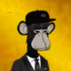 Solaarlab Collection - old V3