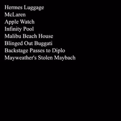 Luggage #2681
