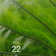 38753158023702115103465677715523489687712098464375366897145467870308644945921
