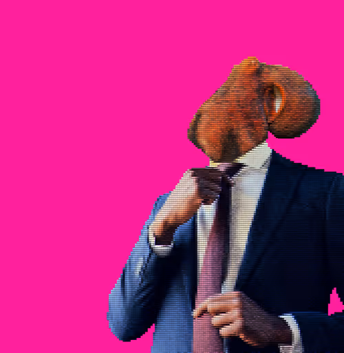 Item #38978282649837283888048530303862168433798246639886405794186851368721872584705 Media