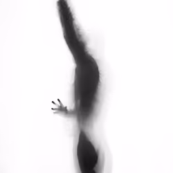 Silhouette #04