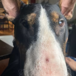 Odins face 