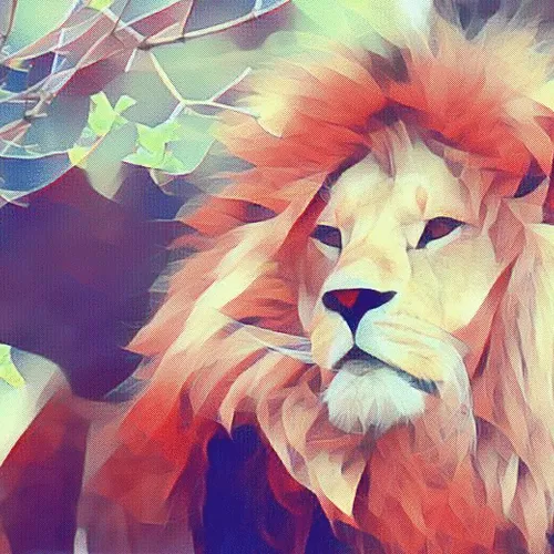Polyxanimal